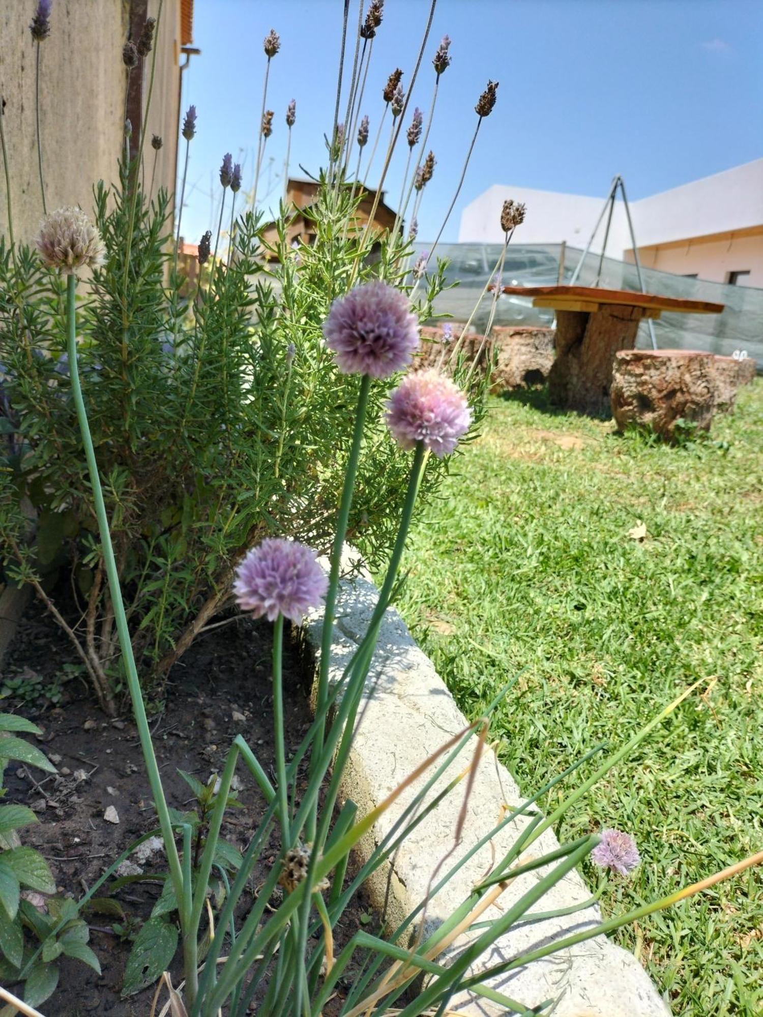 Maison d'hôtes Dinocamp à Lourinhã Extérieur photo